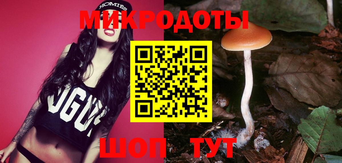 Псилоцибиновые грибы GOLDEN TEACHER  Вход с VPN  Северобайкальск  Псилоцибиновые грибы Magic Shrooms 