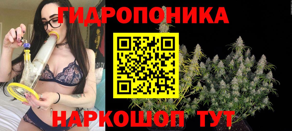 Канабис ГИДРОПОН  Вход с VPN  Северобайкальск  Бошки Шишки конопля  Конопля план 