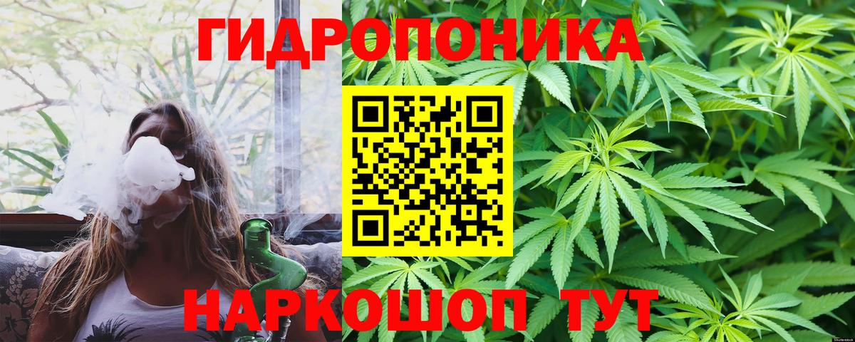 Марихуана индика Северобайкальск